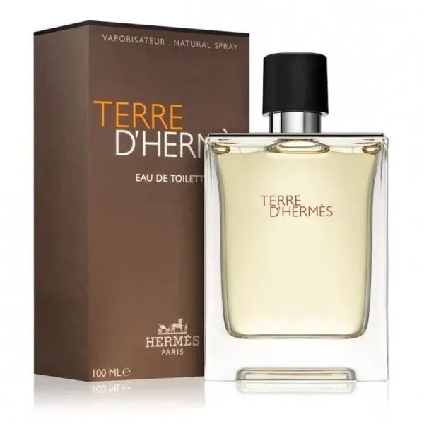 HERMES TERRE D HERMES EDT 100 ML